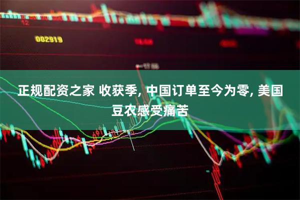 正规配资之家 收获季, 中国订单至今为零, 美国豆农感受痛苦
